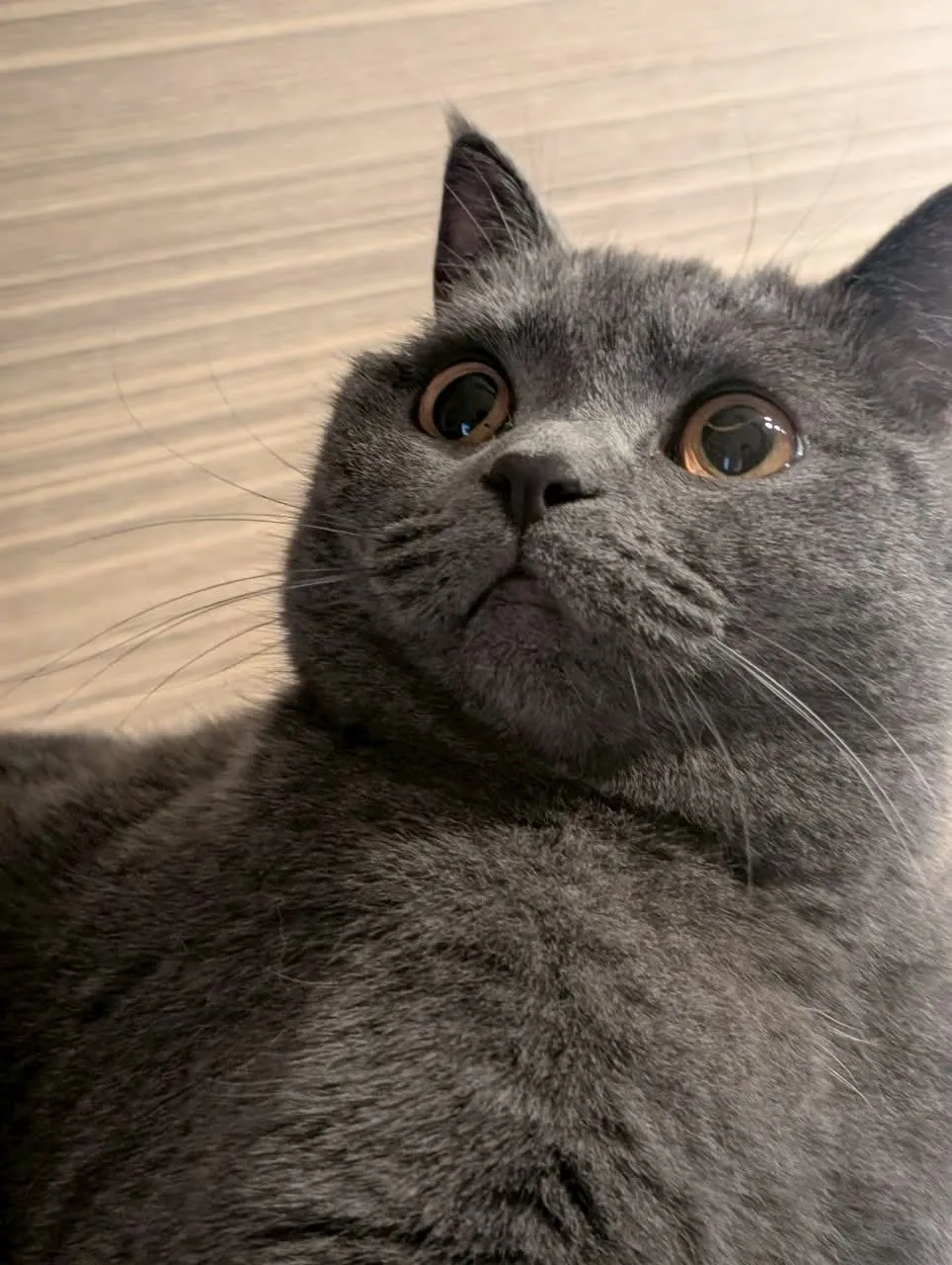 二重あごの驚き顔ドアップ